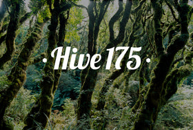 Hive 175