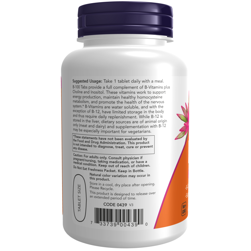 Now Vitamin B-100 Sustained Release Tablets 100
