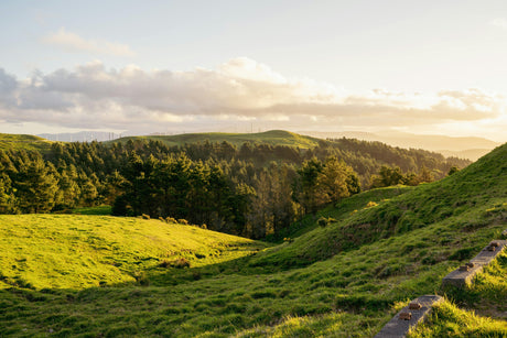The New Zealand Wellness Ritual Worth Bringing Home