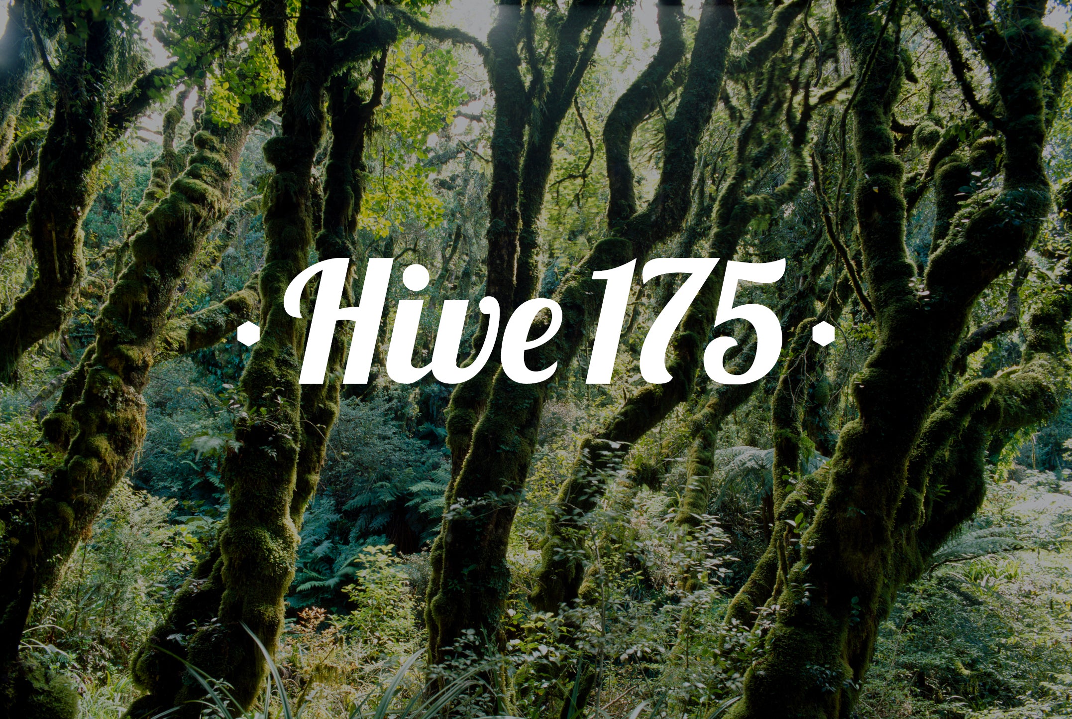 Hive