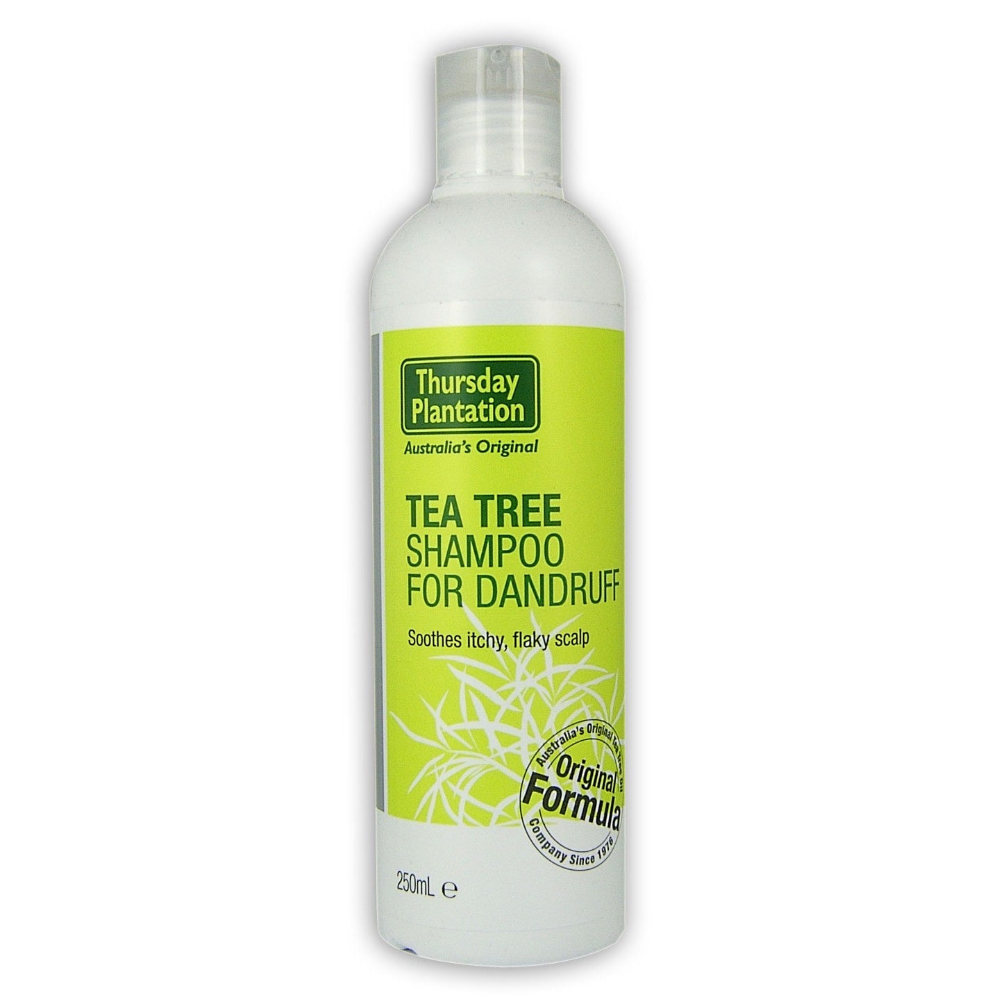 Thursday Plantation Tea Tree Shampoo for Dandruff 250ml
