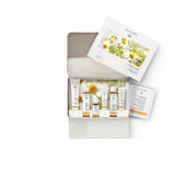 Dr Hauschka Daily Face Care Kit Travel Oily Skin