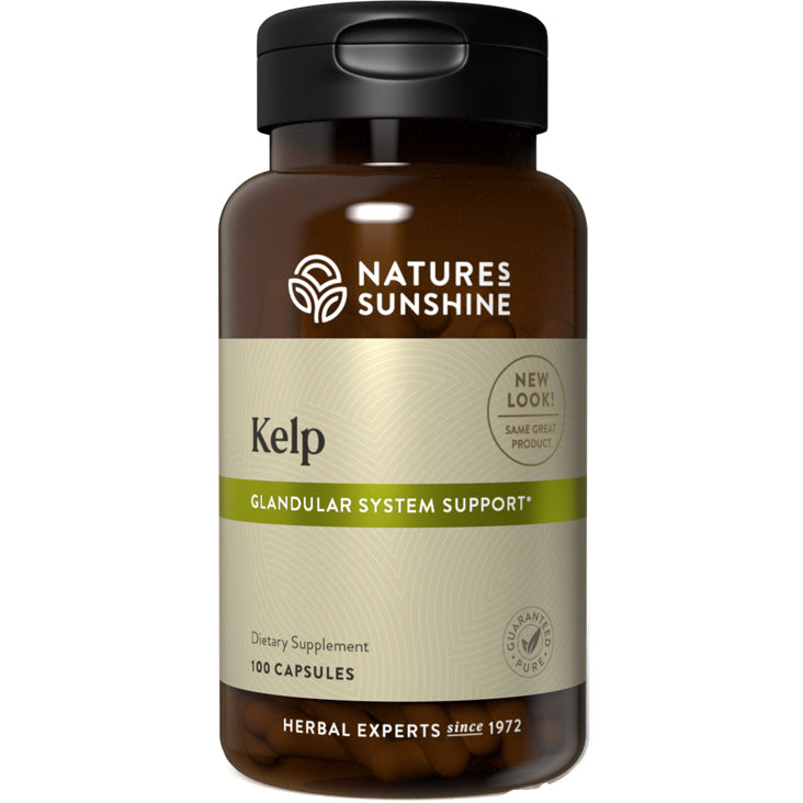 Natures Sunshine Kelp 525mg Capsules 100