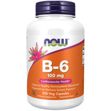 Now Vitamin B-6 100mg Vegecaps 100